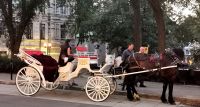 Auch so kann man Quebec erkunden &ndash; &copy; Simone Willner (Eberhardt TRAVEL)