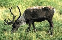 Karibu, Omega Park &ndash; &copy; Simone Willner (Eberhardt TRAVEL)