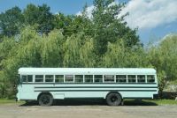 Mit diesen Schulbussen fährt man durch den Omega Park &ndash; &copy; Simone Willner (Eberhardt TRAVEL)