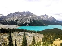 Peyto Lake &ndash; &copy; Simone Willner (Eberhardt TRAVEL)