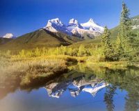 Tree Sisters &ndash; &copy; Simone Willner (Eberhardt TRAVEL)