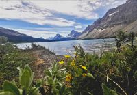 Bow Lake, Banff Nationalpark &ndash; &copy; Simone Willner (Eberhardt TRAVEL)