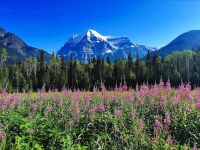 Mount Robson &ndash; &copy; Simone Willner (Eberhardt TRAVEL)