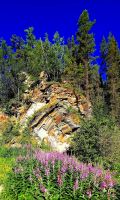 Landschaft auf dem Weg nach Kamloops &ndash; &copy; Simone Willner (Eberhardt TRAVEL)