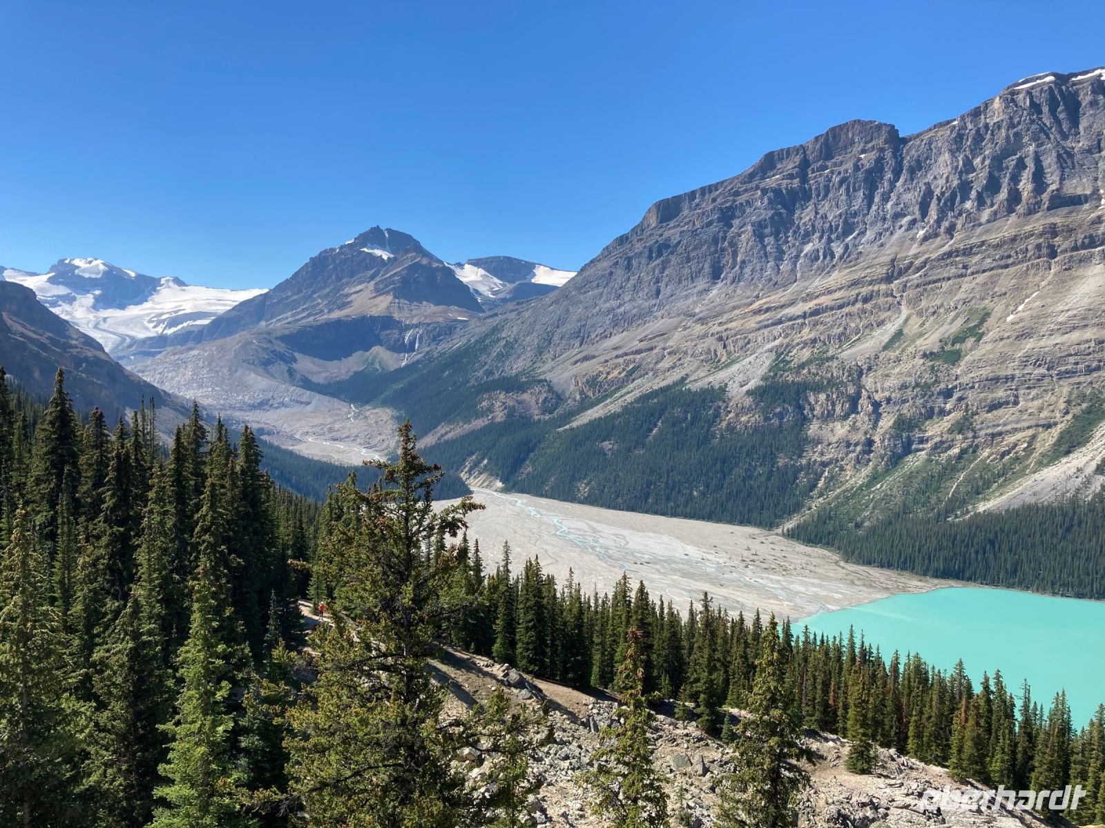3. Tag – Banff-Nationalpark – Peyto Lake &ndash; &copy; Andreas Wolfsteller (Eberhardt TRAVEL)
