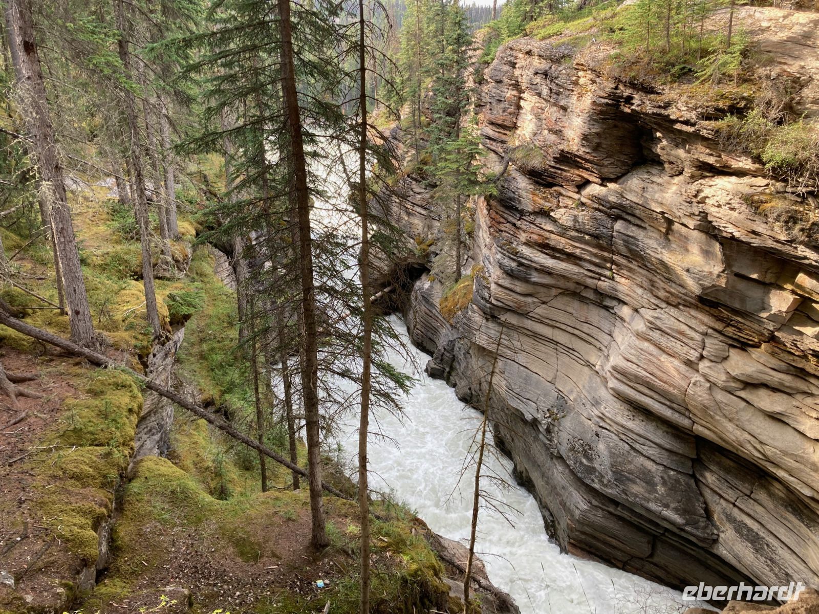 4. Tag – Jasper-Nationalpark – Athabasca Falls &ndash; &copy; Andreas Wolfsteller (Eberhardt TRAVEL)