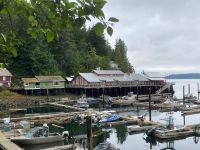 11. Tag – Telegraph Cove &ndash; &copy; Andreas Wolfsteller (Eberhardt TRAVEL)