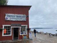 11. Tag – Telegraph Cove &ndash; &copy; Andreas Wolfsteller (Eberhardt TRAVEL)
