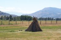 89 Sommerunterschlupf  Shuswap &ndash; &copy; Susanne Schirmann (Eberhardt TRAVEL)