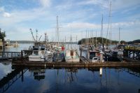 142 Hafen Quadra Island &ndash; &copy; Susanne Schirmann (Eberhardt TRAVEL)