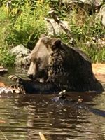 &copy; Elisabeth Fox-Maerki (Eberhardt TRAVEL)