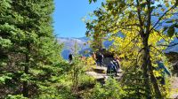 Singlereise Kanada - Sun Point Naturpfad im Glacier Nationalpark in den USA &ndash; &copy; Franziska Bergmann (Eberhardt TRAVEL)