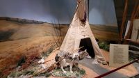 Singlereise Kanada - Head-Smashed-In-Buffalo Jump &ndash; &copy; Franziska Bergmann (Eberhardt TRAVEL)