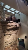 Singlereise Kanada - Head-Smashed-In-Buffalo Jump &ndash; &copy; Franziska Bergmann (Eberhardt TRAVEL)