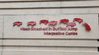 Singlereise Kanada - Head-Smashed-In-Buffalo Jump &ndash; &copy; Franziska Bergmann (Eberhardt TRAVEL)
