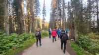 Singlereise Kanada - Lake Louise im Banff Nationalpark &ndash; &copy; Franziska Bergmann (Eberhardt TRAVEL)