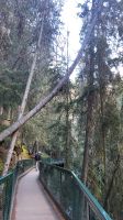 Singlereise Kanada - Johnston Canyon &ndash; &copy; Franziska Bergmann (Eberhardt TRAVEL)