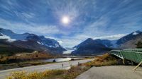 Singlereise Kanada - Blick zum Athabasca-Gletscher &ndash; &copy; Franziska Bergmann (Eberhardt TRAVEL)