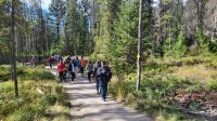 Singlereise Kanada - Wanderung im Maligne Canyon im Jasper Nationalpark &ndash; &copy; Franziska Bergmann (Eberhardt TRAVEL)