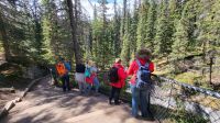 Singlereise Kanada - Wanderung im Maligne Canyon im Jasper Nationalpark &ndash; &copy; Franziska Bergmann (Eberhardt TRAVEL)
