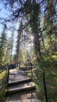 Singlereise Kanada - Wanderung im Maligne Canyon im Jasper Nationalpark &ndash; &copy; Franziska Bergmann (Eberhardt TRAVEL)