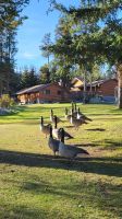Singlereise Kanada - Beckers Chalets &ndash; &copy; Franziska Bergmann (Eberhardt TRAVEL)