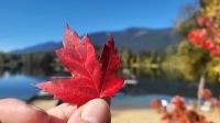 Singlereise Kanada - Mittagspause &ndash; &copy; Franziska Bergmann (Eberhardt TRAVEL)