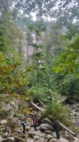 Singlereise Kanada - Stopp an den Shannon Falls &ndash; &copy; Franziska Bergmann (Eberhardt TRAVEL)
