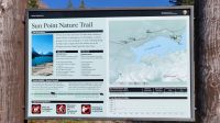 Singlereise Kanada - Sun Point Naturpfad im Glacier Nationalpark in den USA &ndash; &copy; Franziska Bergmann (Eberhardt TRAVEL)
