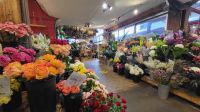 Singlereise Kanada - Granville Island in Vancouver &ndash; &copy; Franziska Bergmann (Eberhardt TRAVEL)