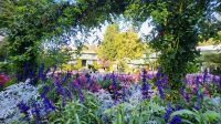 Singlereise Kanada - Butchart Gardens auf Vancouver Island &ndash; &copy; Franziska Bergmann (Eberhardt TRAVEL)