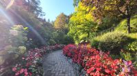 Singlereise Kanada - Butchart Gardens auf Vancouver Island &ndash; &copy; Franziska Bergmann (Eberhardt TRAVEL)