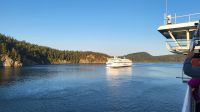 Singlereise Kanada - Fährüberfahrt nach Vancouver &ndash; &copy; Franziska Bergmann (Eberhardt TRAVEL)