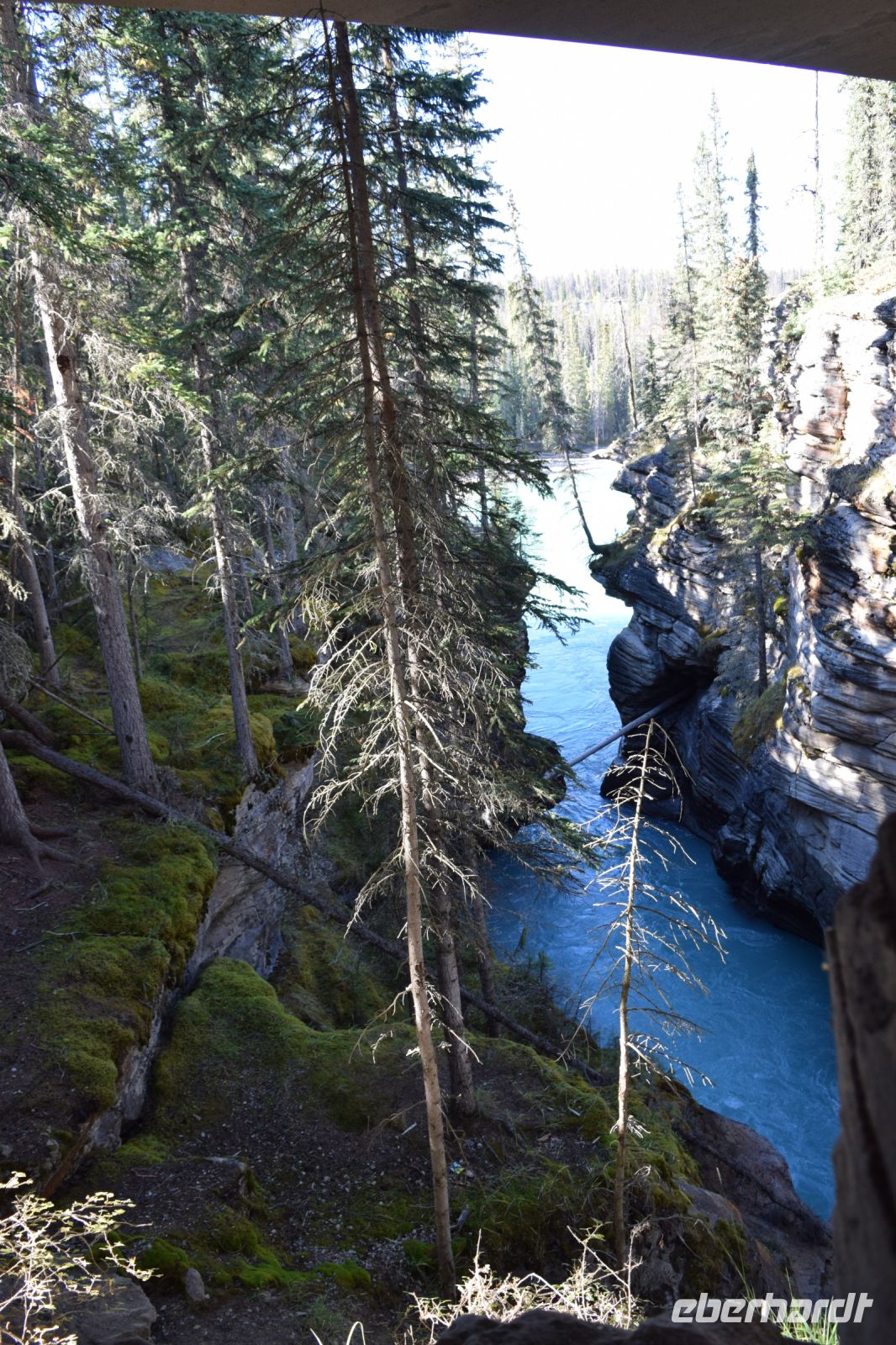 Athabasca Falls &ndash; &copy; Gunter Looß (Eberhardt TRAVEL)