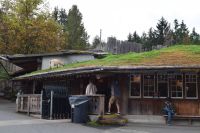 Old Country Market &ndash; &copy; Gunter Looß (Eberhardt TRAVEL)
