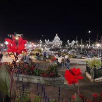 Victoria bei Nacht