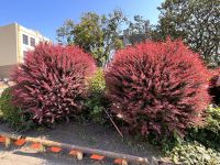 Impressione in Victoria (8) &ndash; &copy; Thomas Krupp (Eberhardt TRAVEL)