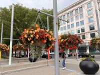 Stadtbesichtigung in Calgary (8) &ndash; &copy; Thomas Krupp (Eberhardt TRAVEL)