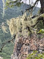 Wells Gray Park (3) &ndash; &copy; Thomas Krupp (Eberhardt TRAVEL)
