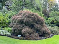 Butchard Gardens (7) &ndash; &copy; Thomas Krupp (Eberhardt TRAVEL)