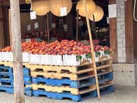 Coombs (4) &ndash; &copy; Thomas Krupp (Eberhardt TRAVEL)