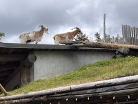 Coombs (5) &ndash; &copy; Thomas Krupp (Eberhardt TRAVEL)