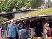Coombs (6) &ndash; &copy; Thomas Krupp (Eberhardt TRAVEL)