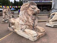 Coombs (9) &ndash; &copy; Thomas Krupp (Eberhardt TRAVEL)