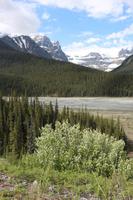 Panoramafahrt entlang des Icefield Parkway - Stutfield Gletscher &ndash; &copy; Kristin Weigel (Eberhardt TRAVEL)