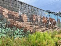 Und nun dasselbe Gespann in die andere Richtung  &ndash; &copy; Elisabeth Fox-Maerki (Eberhardt TRAVEL)
