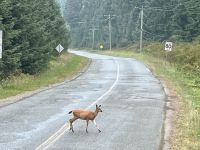 Ach, ihr auch auf der Strasse ! &ndash; &copy; Elisabeth Fox-Maerki (Eberhardt TRAVEL)