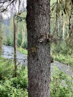 Fish Creek &ndash; &copy; Elisabeth Fox-Maerki (Eberhardt TRAVEL)