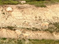 Suchbild &ndash; &copy; Elisabeth Fox-Maerki (Eberhardt TRAVEL)