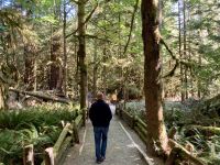14. Reisetag – Von Whistler nach Tofino – Spaziergang durch den Cathedral Cove im MacMillan Provincial Park &ndash; &copy; Andreas Wolfsteller (Eberhardt TRAVEL)